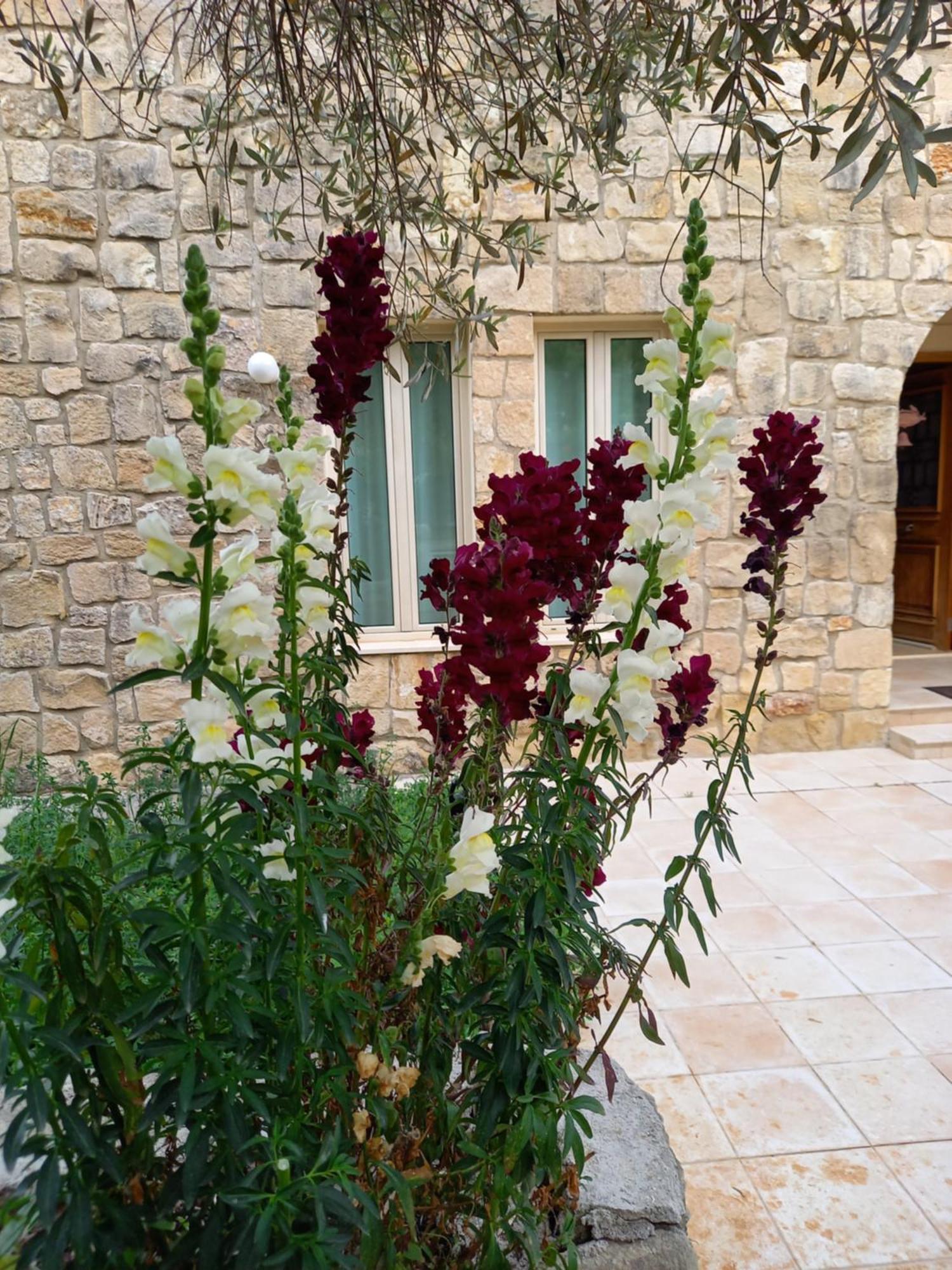 Villa Koumneni Pano Akourdalia Dış mekan fotoğraf