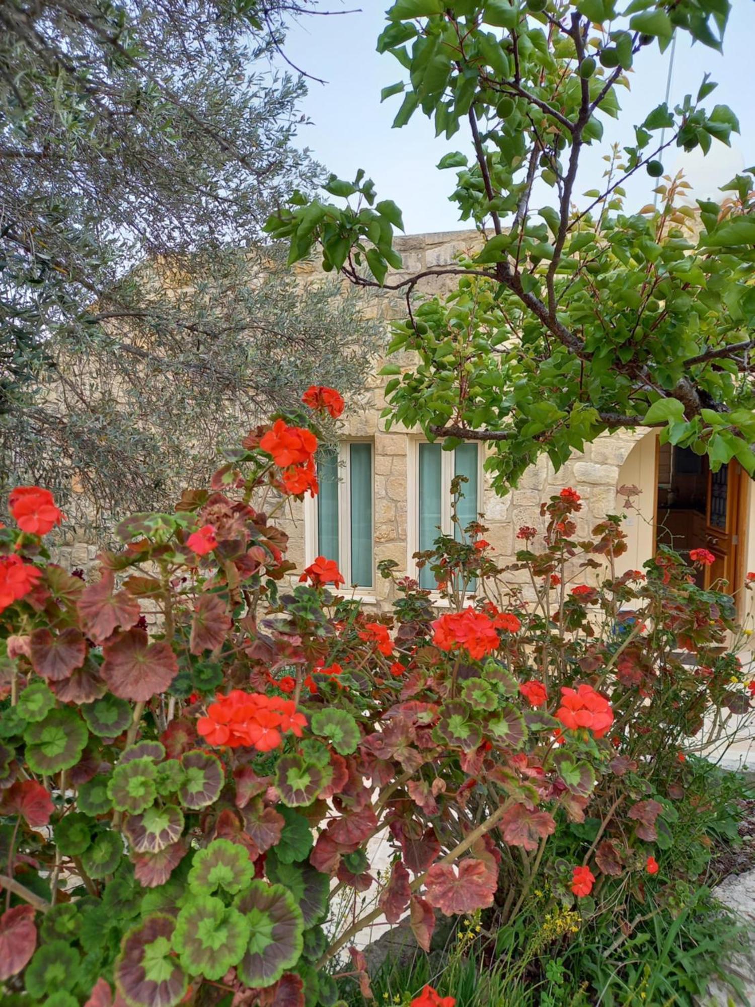 Villa Koumneni Pano Akourdalia Dış mekan fotoğraf