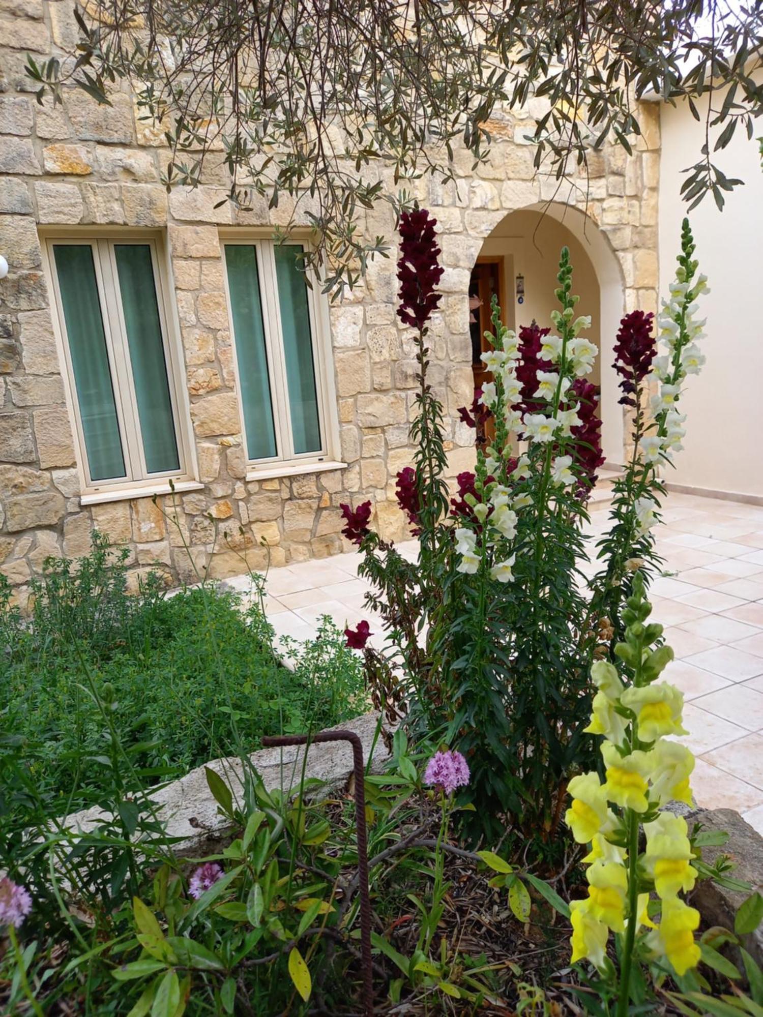 Villa Koumneni Pano Akourdalia Dış mekan fotoğraf