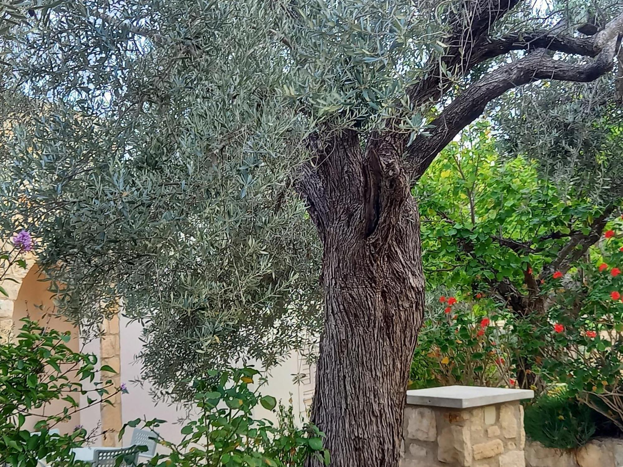 Villa Koumneni Pano Akourdalia Dış mekan fotoğraf
