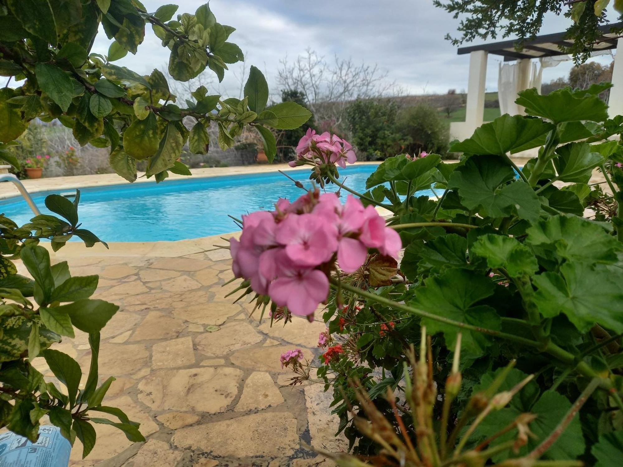 Villa Koumneni Pano Akourdalia Dış mekan fotoğraf