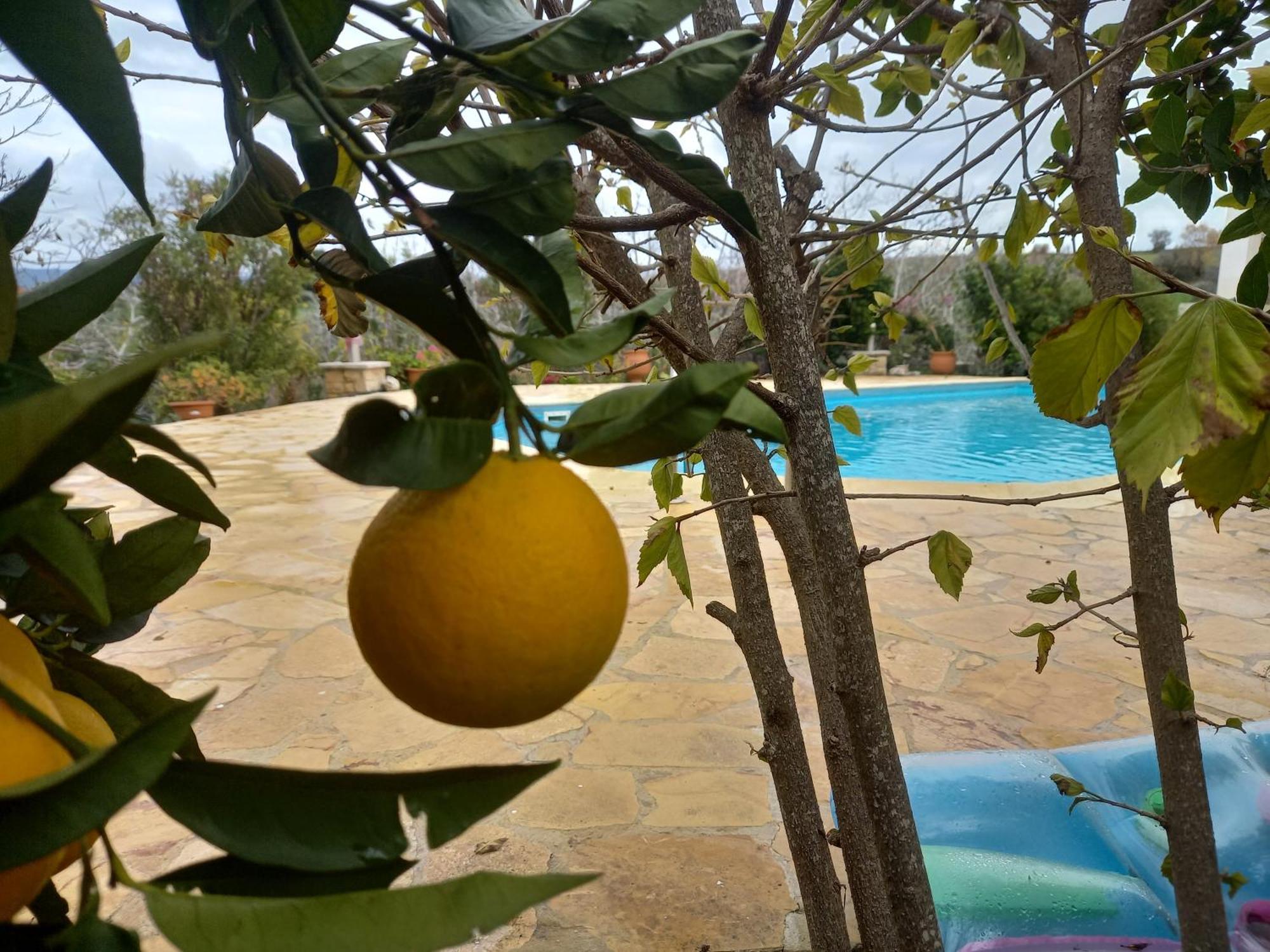 Villa Koumneni Pano Akourdalia Dış mekan fotoğraf